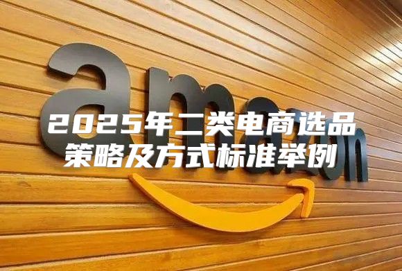 2025年二类电商选品策略及方式标准举例