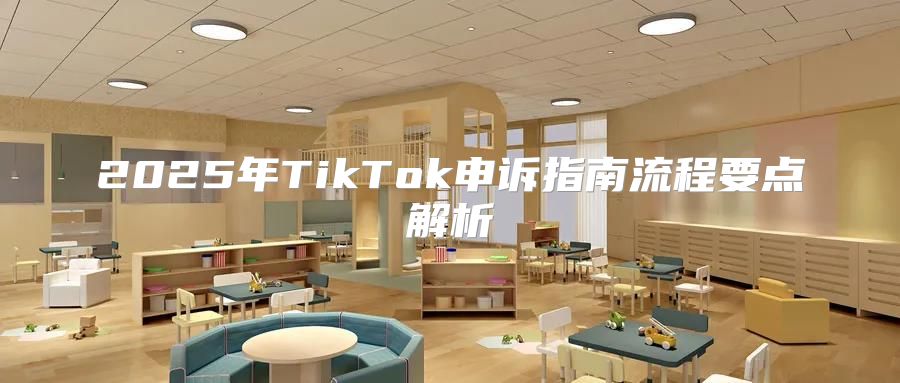 2025年TikTok申诉指南流程要点解析