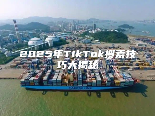 2025年TikTok搜索技巧大揭秘