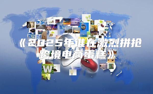 2025年谁在激烈拼抢跨境电商蛋糕