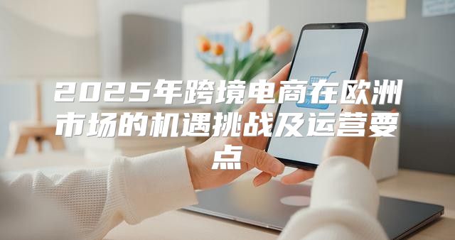 2025年跨境电商在欧洲市场的机遇挑战及运营要点