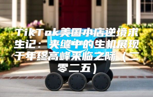 TikTok美国小店逆境求生记：夹缝中的生机展现于年终高峰来临之际二零二五
