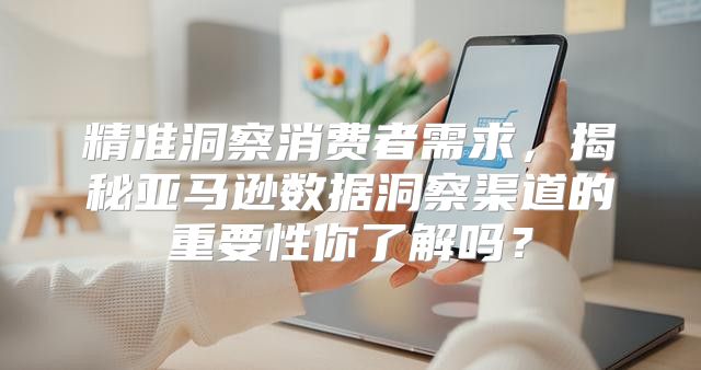 精准洞察消费者需求，揭秘亚马逊数据洞察渠道的重要性你了解吗？