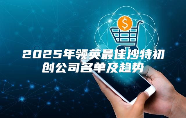 2025年领英最佳沙特初创公司名单及趋势