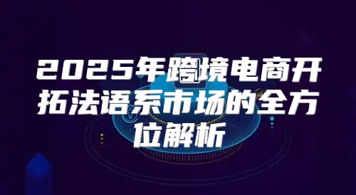 2025年跨境电商开拓法语系市场的全方位解析