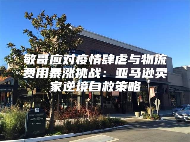 敏哥应对疫情肆虐与物流费用暴涨挑战：亚马逊卖家逆境自救策略
