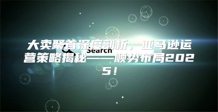 大卖聚首深度剖析，亚马逊运营策略揭秘——顺势布局2025！