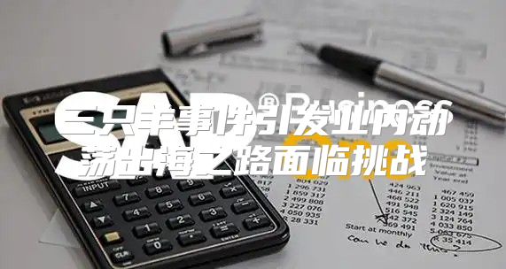 三只羊事件引发业内动荡出海之路面临挑战