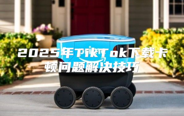 2025年TikTok下载卡顿问题解决技巧