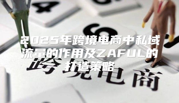 2025年跨境电商中私域流量的作用及ZAFUL的打造策略