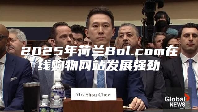 2025年荷兰Bol.com在线购物网站发展强劲