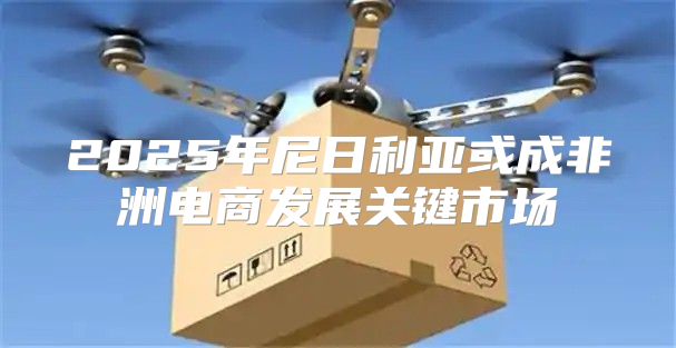 2025年尼日利亚或成非洲电商发展关键市场