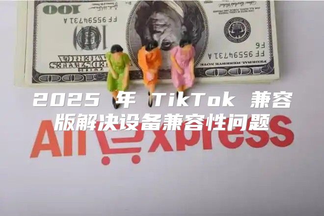 2025 年 TikTok 兼容版解决设备兼容性问题