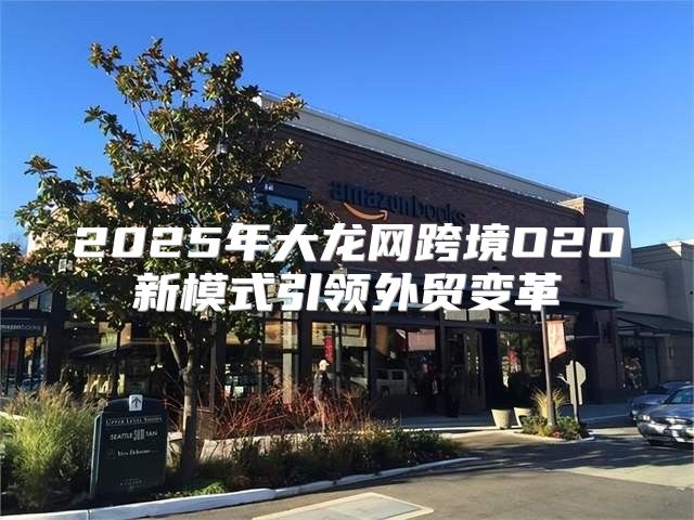 2025年大龙网跨境O2O新模式引领外贸变革
