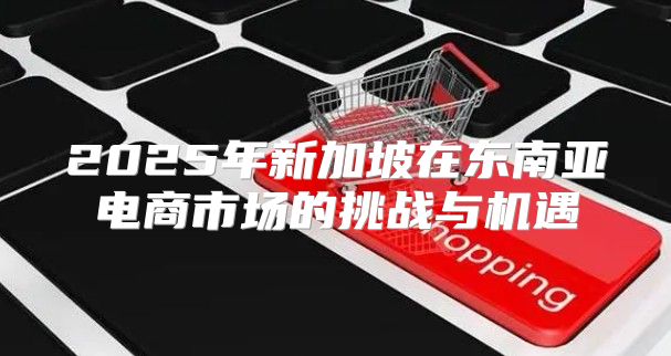 2025年新加坡在东南亚电商市场的挑战与机遇