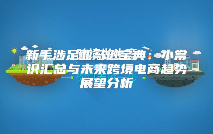 新手涉足亚马逊宝典：小常识汇总与未来跨境电商趋势展望分析