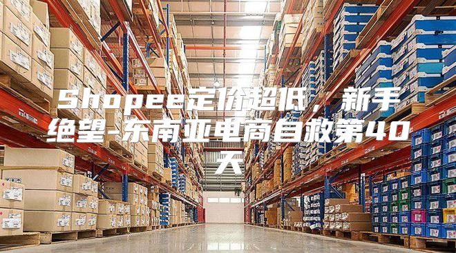 Shopee定价超低，新手绝望-东南亚电商自救第40天