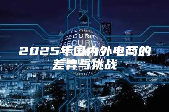 2025年国内外电商的差异与挑战
