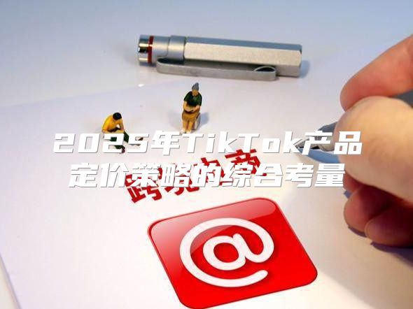 2025年TikTok产品定价策略的综合考量