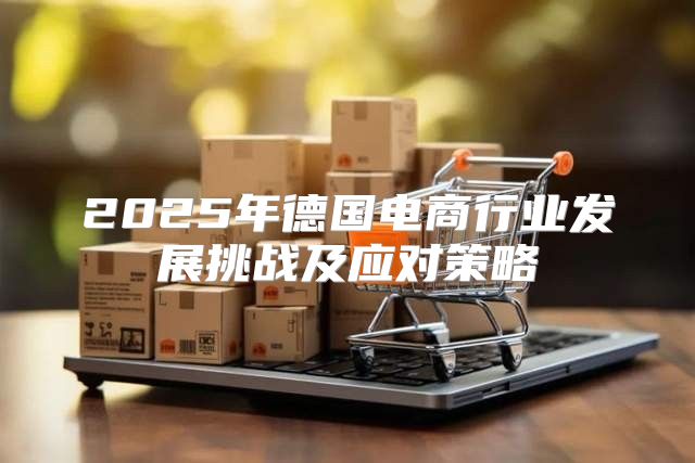 2025年德国电商行业发展挑战及应对策略