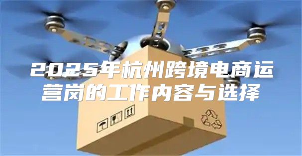 2025年杭州跨境电商运营岗的工作内容与选择