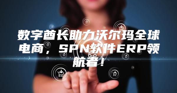 数字酋长助力沃尔玛全球电商，SPN软件ERP领航者！