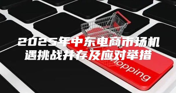 2025年中东电商市场机遇挑战并存及应对举措
