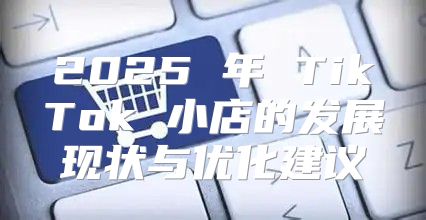 2025 年 TikTok 小店的发展现状与优化建议