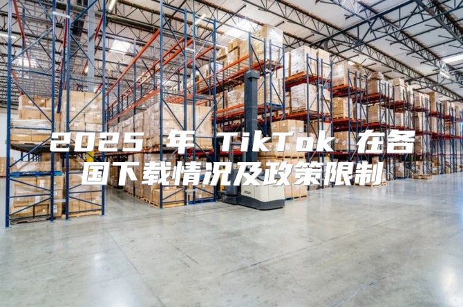 2025 年 TikTok 在各国下载情况及政策限制
