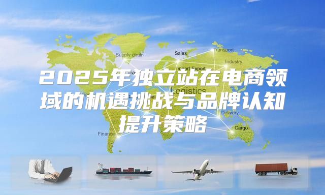2025年独立站在电商领域的机遇挑战与品牌认知提升策略