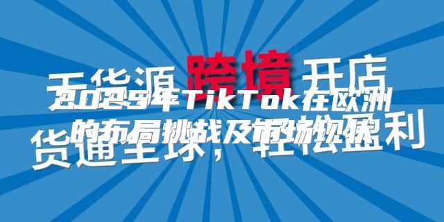 2025年TikTok在欧洲的布局挑战及市场现状