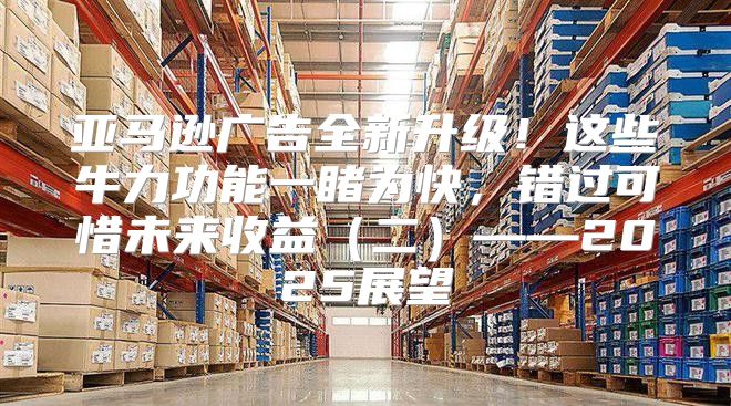 亚马逊广告全新升级！这些牛力功能一睹为快，错过可惜未来收益二——2025展望