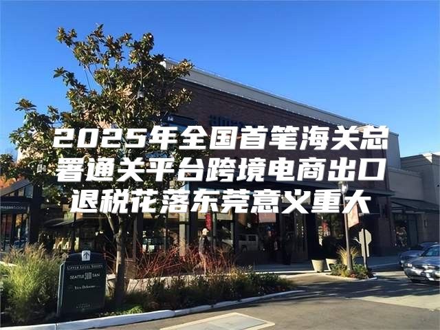 2025年全国首笔海关总署通关平台跨境电商出口退税花落东莞意义重大