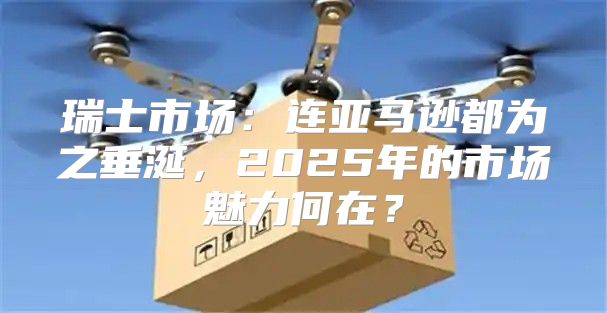 瑞士市场：连亚马逊都为之垂涎，2025年的市场魅力何在？