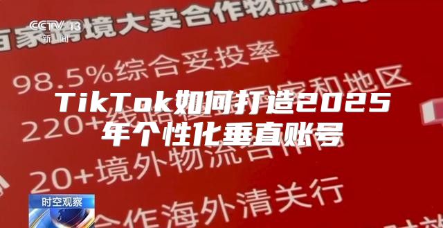TikTok如何打造2025年个性化垂直账号