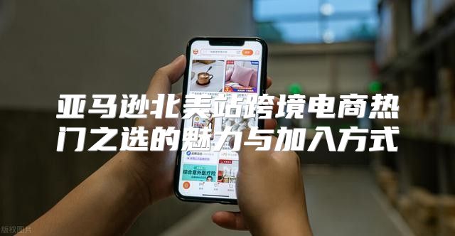 亚马逊北美站跨境电商热门之选的魅力与加入方式