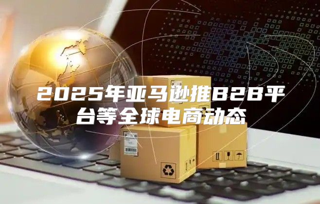 2025年亚马逊推B2B平台等全球电商动态