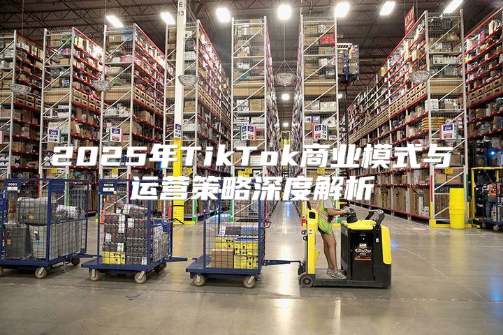 2025年TikTok商业模式与运营策略深度解析