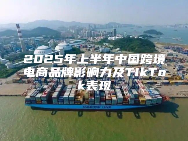 2025年上半年中国跨境电商品牌影响力及TikTok表现