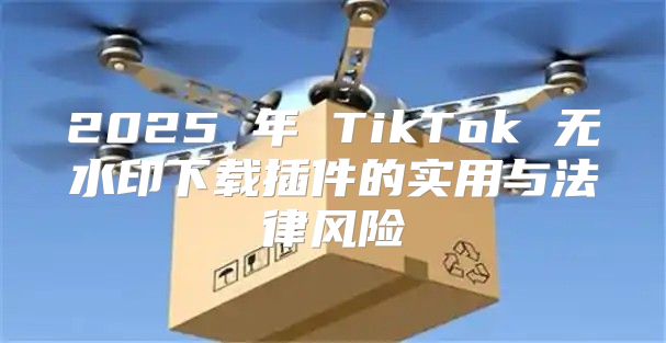 2025 年 TikTok 无水印下载插件的实用与法律风险