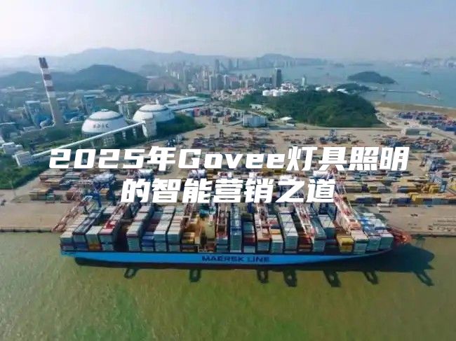 2025年Govee灯具照明的智能营销之道