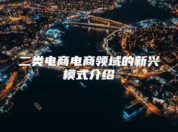二类电商电商领域的新兴模式介绍