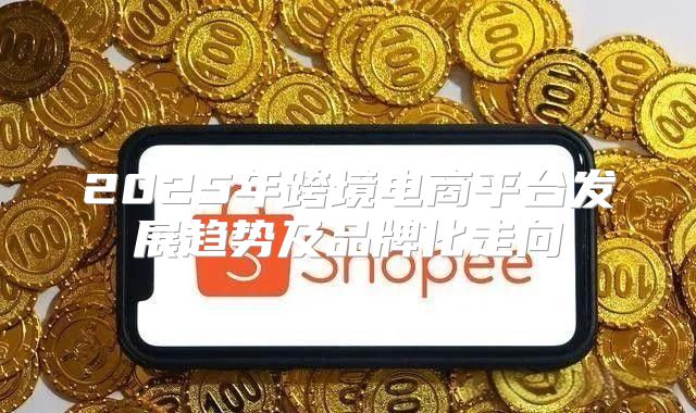 2025年跨境电商平台发展趋势及品牌化走向