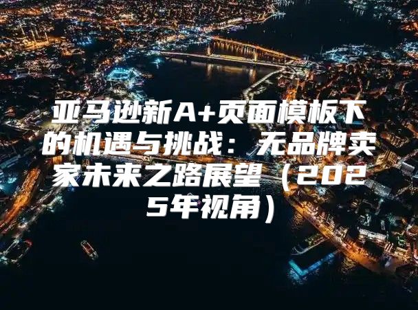 亚马逊新A+页面模板下的机遇与挑战：无品牌卖家未来之路展望2025年视角