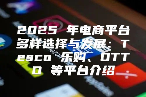2025 年电商平台多样选择与发展：Tesco 乐购、OTTO 等平台介绍