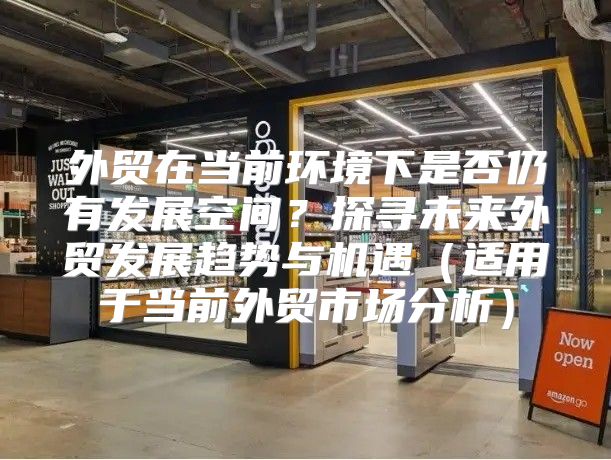 外贸在当前环境下是否仍有发展空间？探寻未来外贸发展趋势与机遇适用于当前外贸市场分析