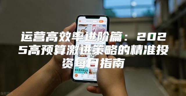 运营高效率进阶篇：2025高预算激进策略的精准投资每日指南