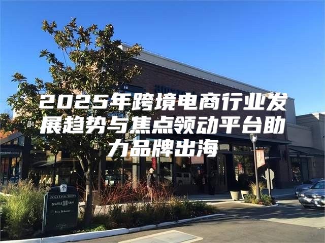 2025年跨境电商行业发展趋势与焦点领动平台助力品牌出海