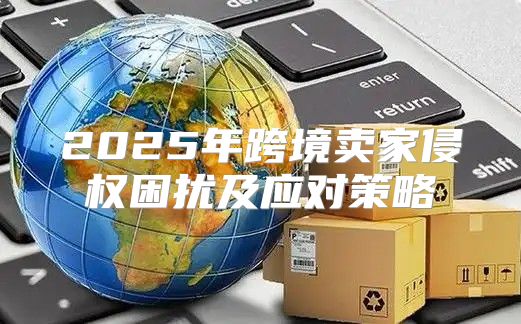 2025年跨境卖家侵权困扰及应对策略