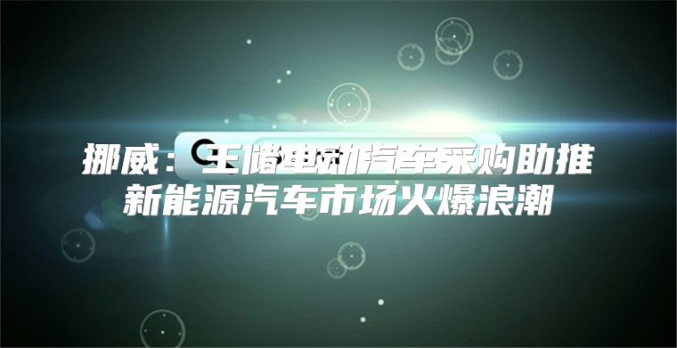 挪威：王储电动汽车采购助推新能源汽车市场火爆浪潮